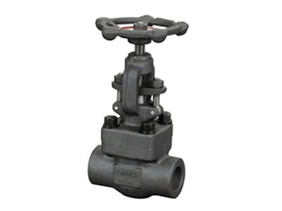 Forged Steel Globe Valve(Welded Bonnet)