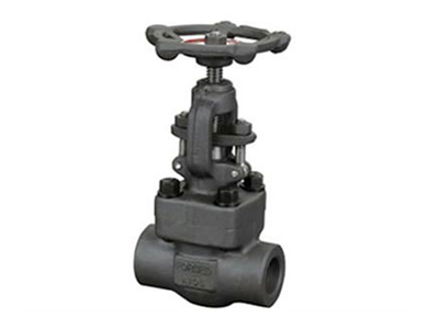 Forged Steel Globe Valve (Bolted Bonnet)