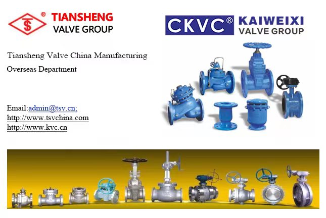 TSV &CKVC internationl business cooperation