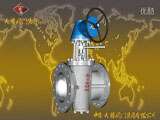 Plug valve