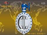 Hard Seal Butterfly Valve