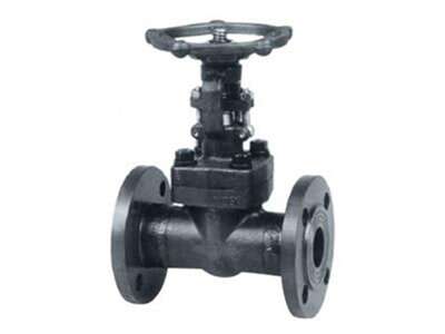 Forged Steel Flange Gate Valve