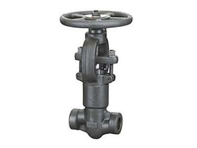 Forged Steel Pressure Seal Globe Valve