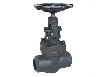 Forged Steel Globe Valve(Welded Bonnet)